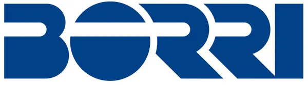 Borri Borri UPS logo – 01 Electronics